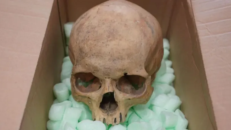 Kafatasını Çalan Turistten Şok İtiraf! 60 Yıl Sonra Geri Gönderdi