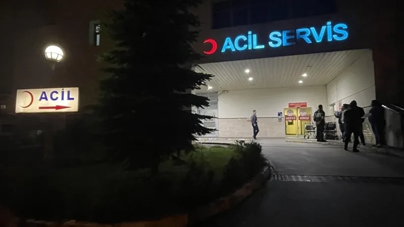 Ayı Saldırısı: Ardahan'da Genç Hayatını Kaybetti! Şok Detaylar