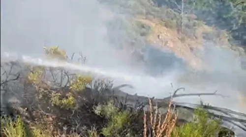 Aydın ve Muğla'daki orman yangınları söndürüldü