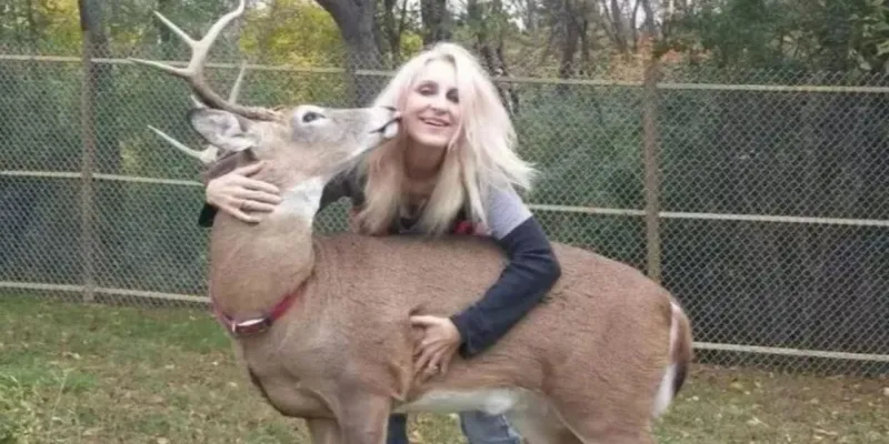 Hayatını vahşi hayvanlara adamıştı: Baktığı geyik tarafından öldürüldü