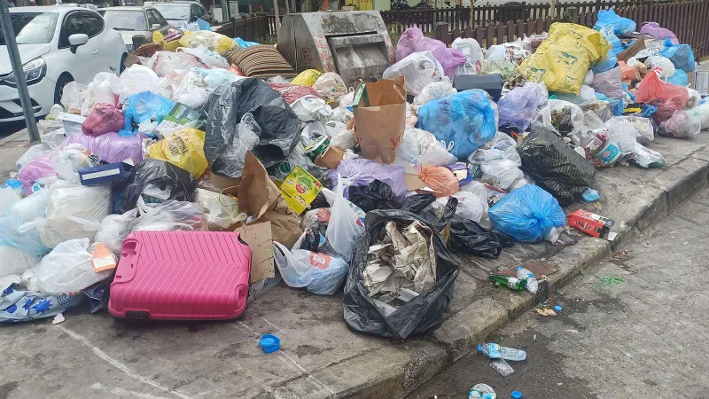 İzmir'de Karasinek İstilası! Uzmanlardan Şok Uyarı!