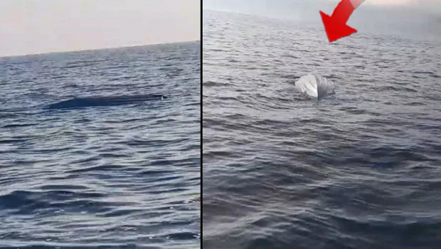 Karadeniz'de Gizemli Cisim Paniği! İnsansız Deniz Aracı mı?