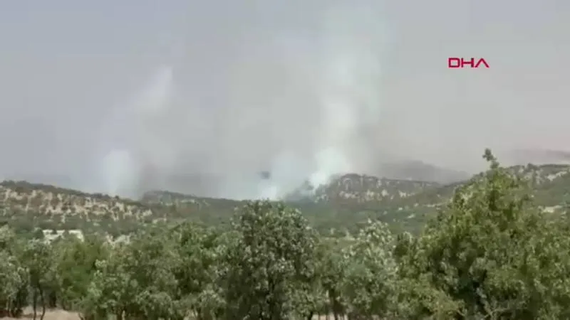 Mardin'de Orman Yangını! Alevler Kontrol Altına Alınabildi mi?