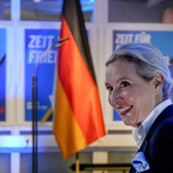 Alman mahkemesinden AfD kararı