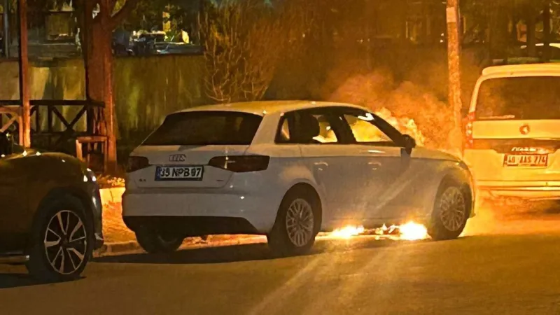 Birecik'te Lüks Araç Alevlere Teslim! Yangın Anları Kamerada