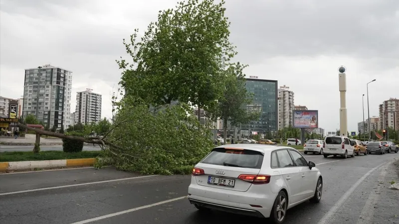Diyarbakır'da şiddetli fırtına: çatılar uçtu, ağaçlar devrildi