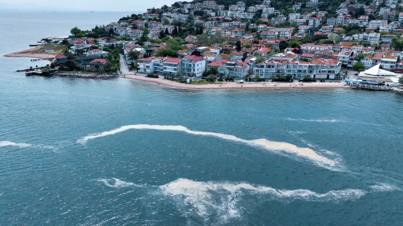 Marmara Alarm Veriyor! Müsilaj Saros Körfezi'ni Mi Vurdu?