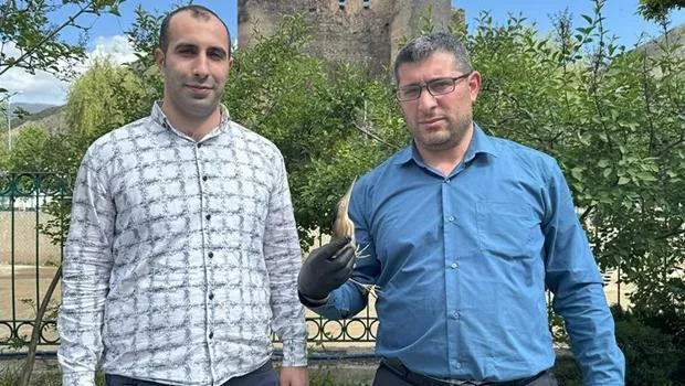 Erzurum'da Şok! Nesli Tükenen Kuş Yaralı Bulundu!