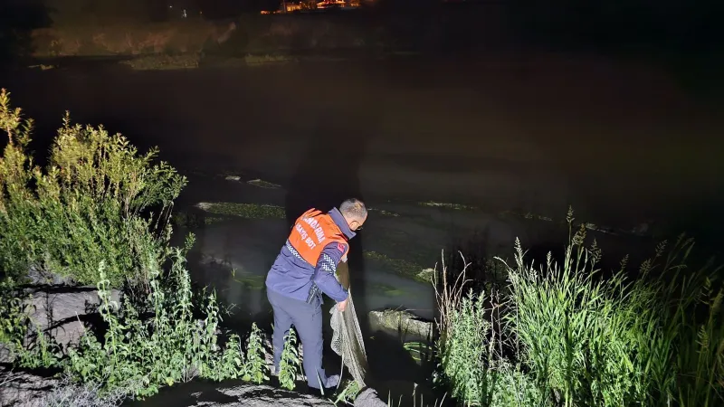 Van'da Rekor Kaçak İnci Kefali Yakalandı! Balıklar Nereye Götürülüyordu?